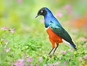 Sue Hsu's photo